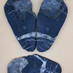 Nolla-Pyrit-Schiefer Fossil