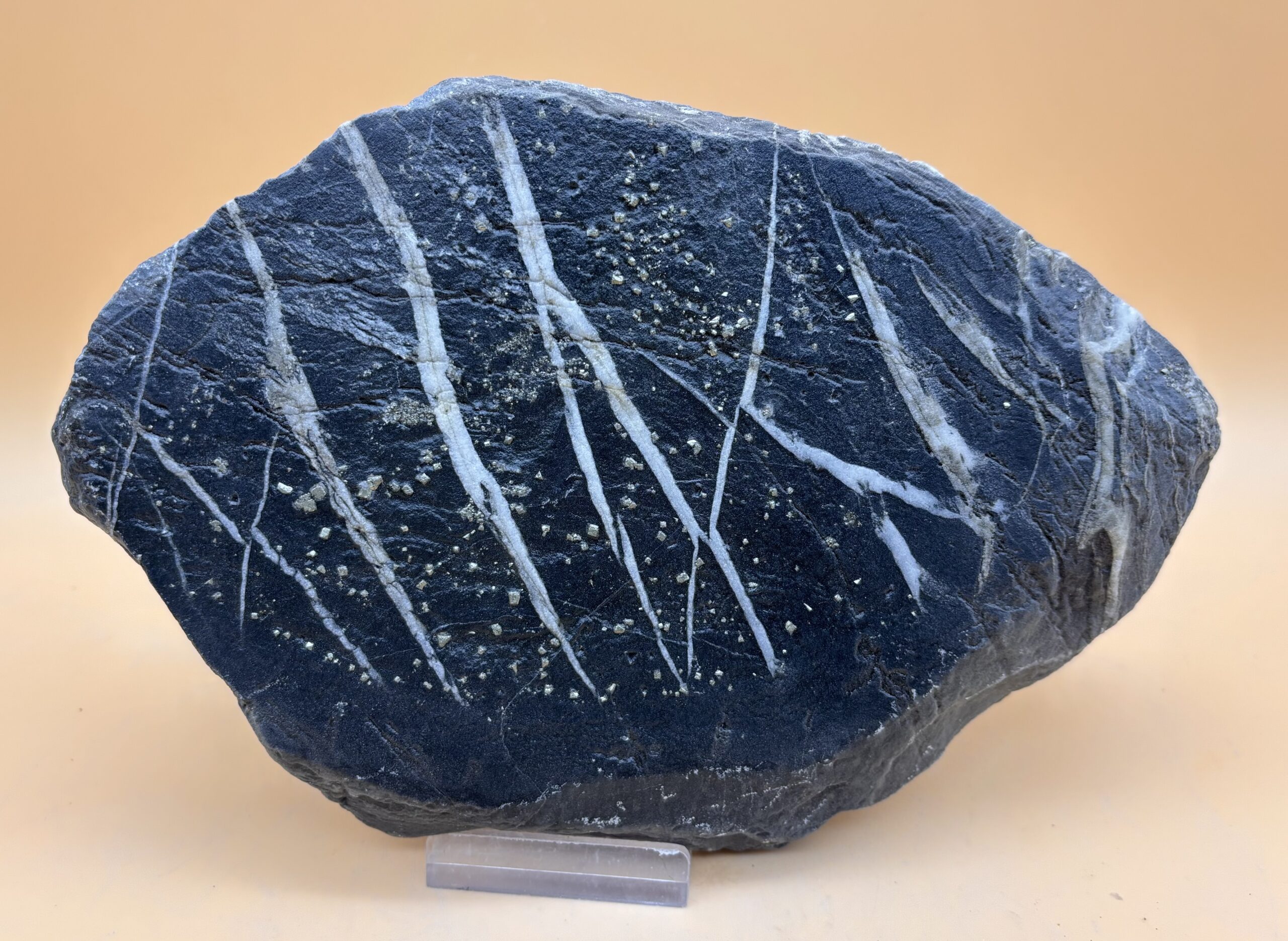 Nolla-Pyrit-Schiefer