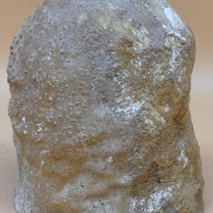 Tropfstein