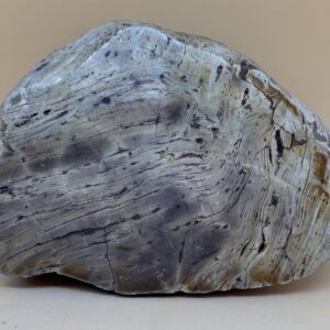 Stromatolith