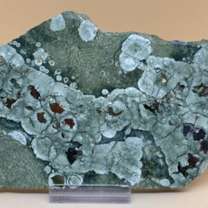 Rhyolith Platte