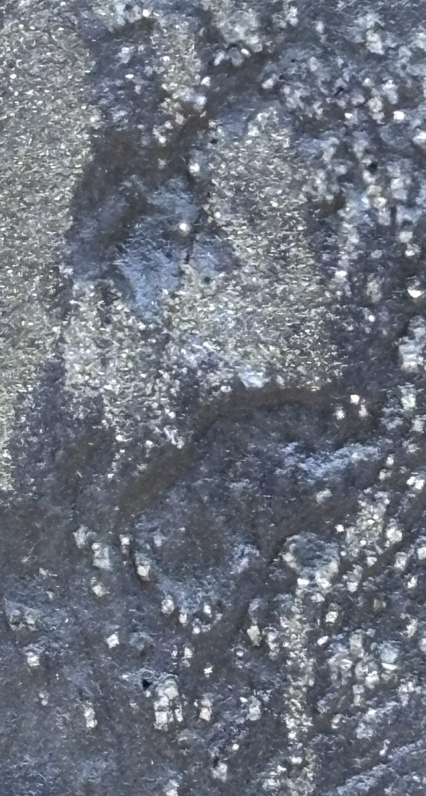 Rheingoldschiefer – Bild 3