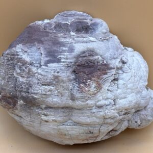 Rhyolith Knolle