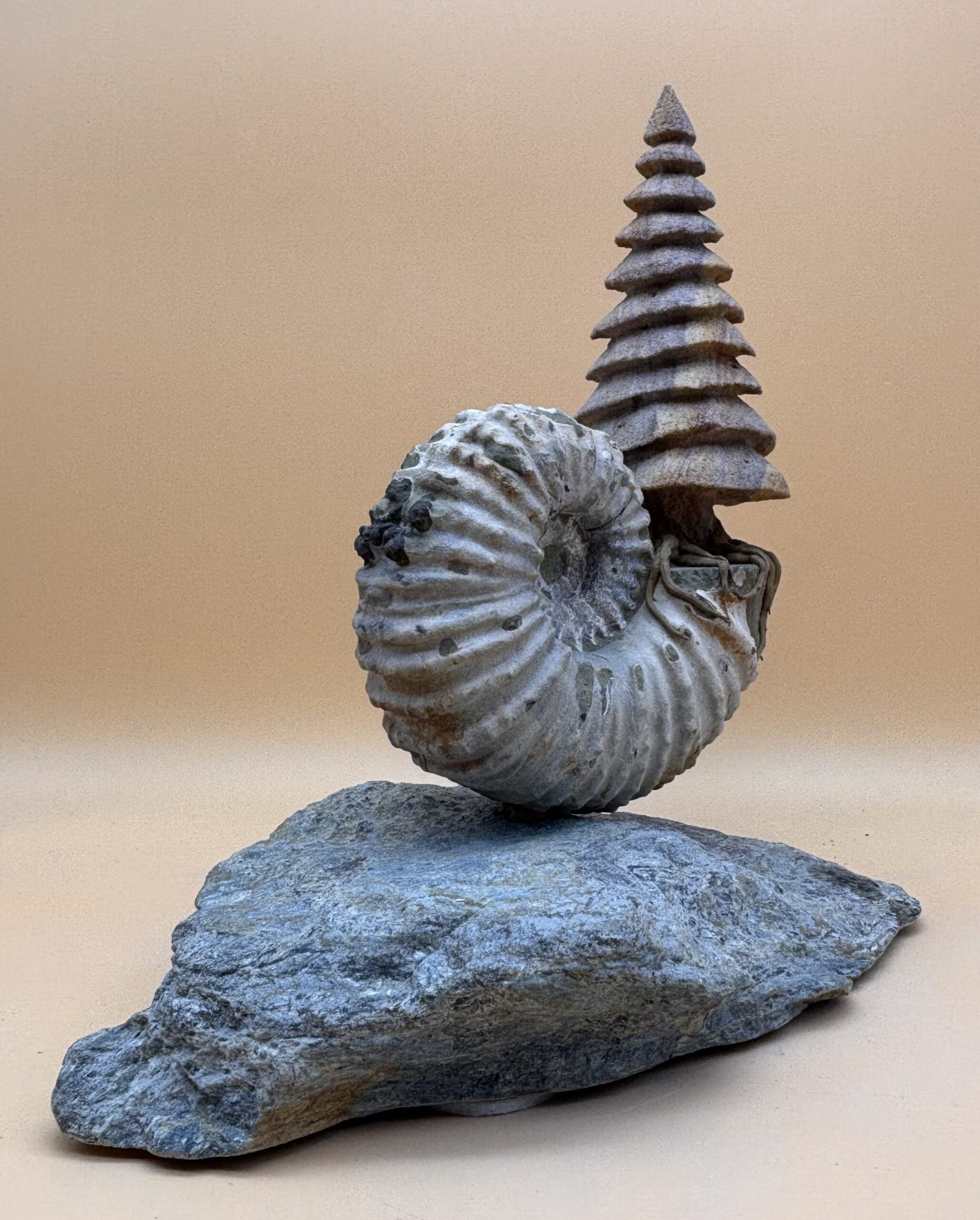 "Spiralis vitae" – Bild 3