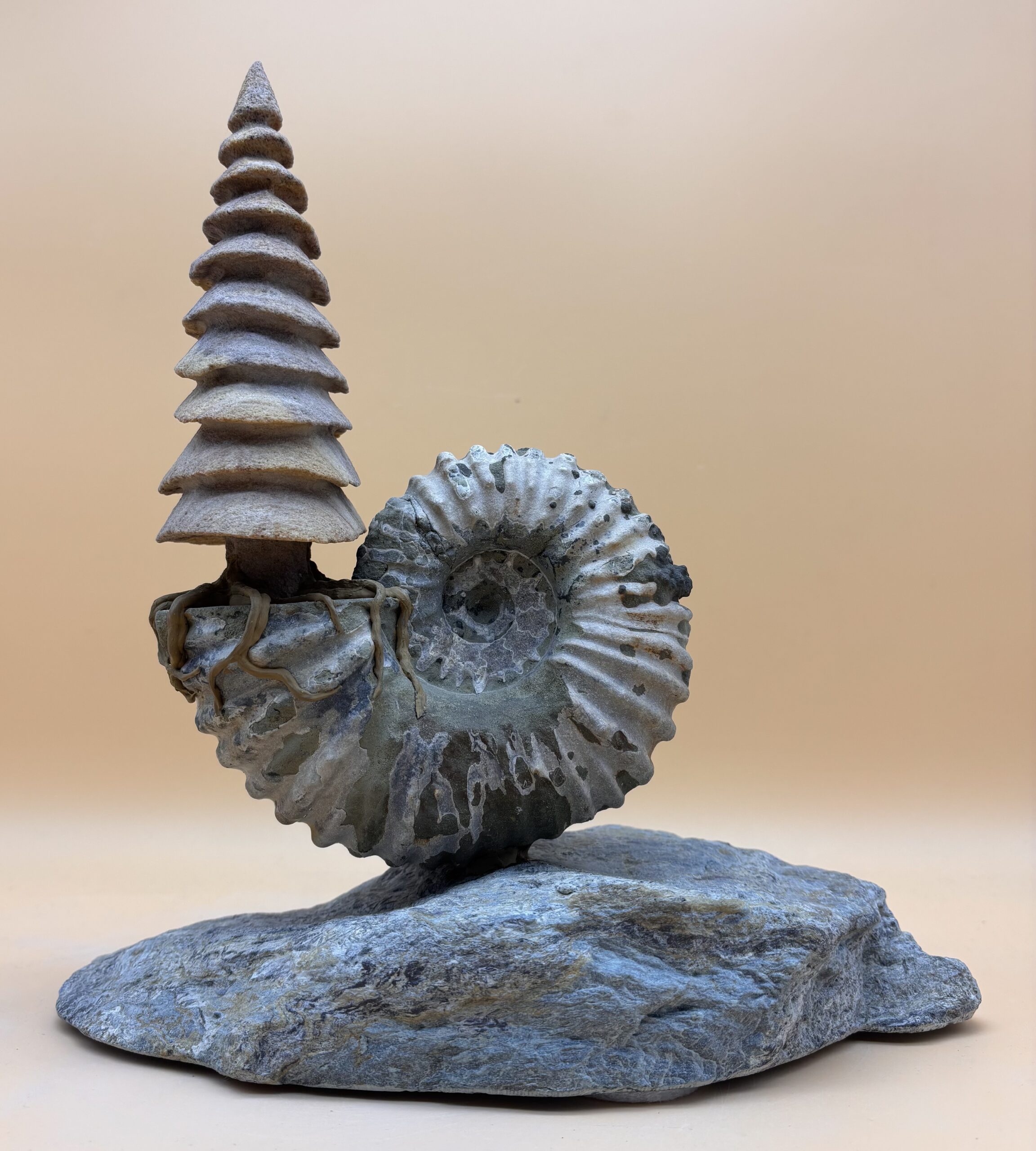 "Spiralis vitae" – Bild 2