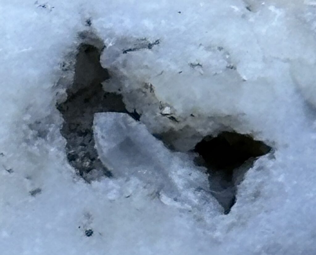 Bergkristall im Dolomit