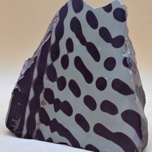Zebra Rock Australien