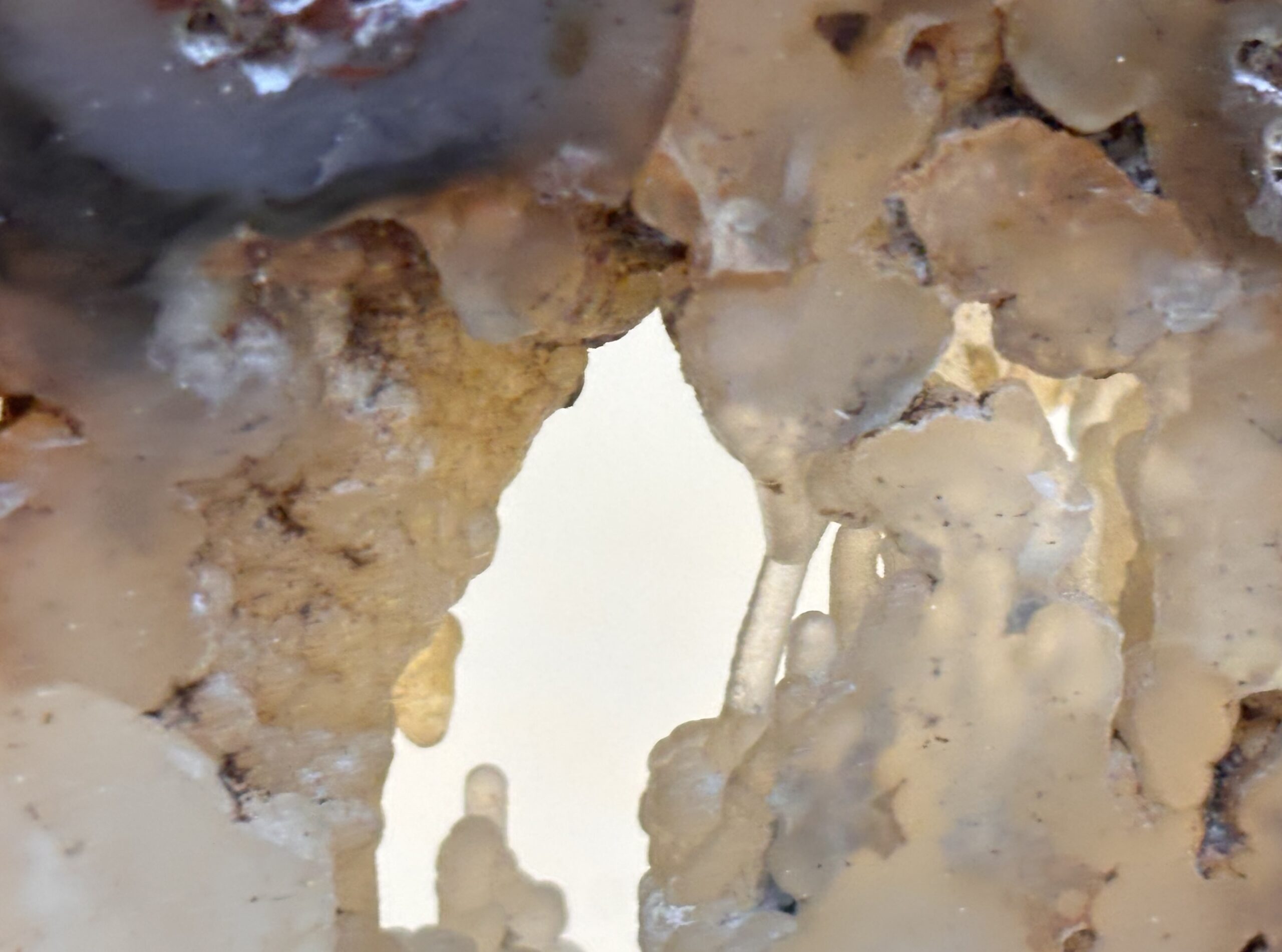 Chalcedon – Bild 5