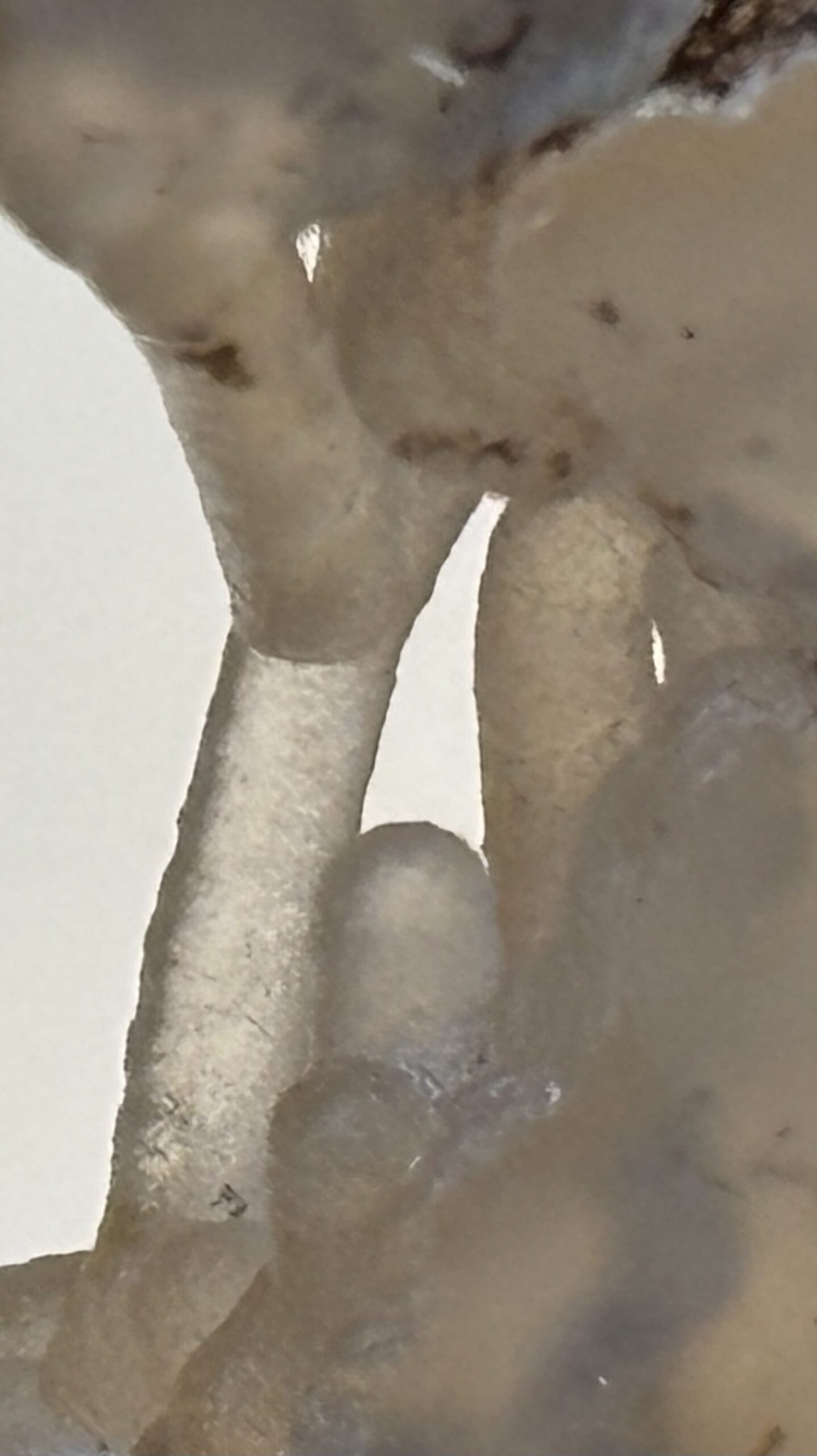 Chalcedon – Bild 3