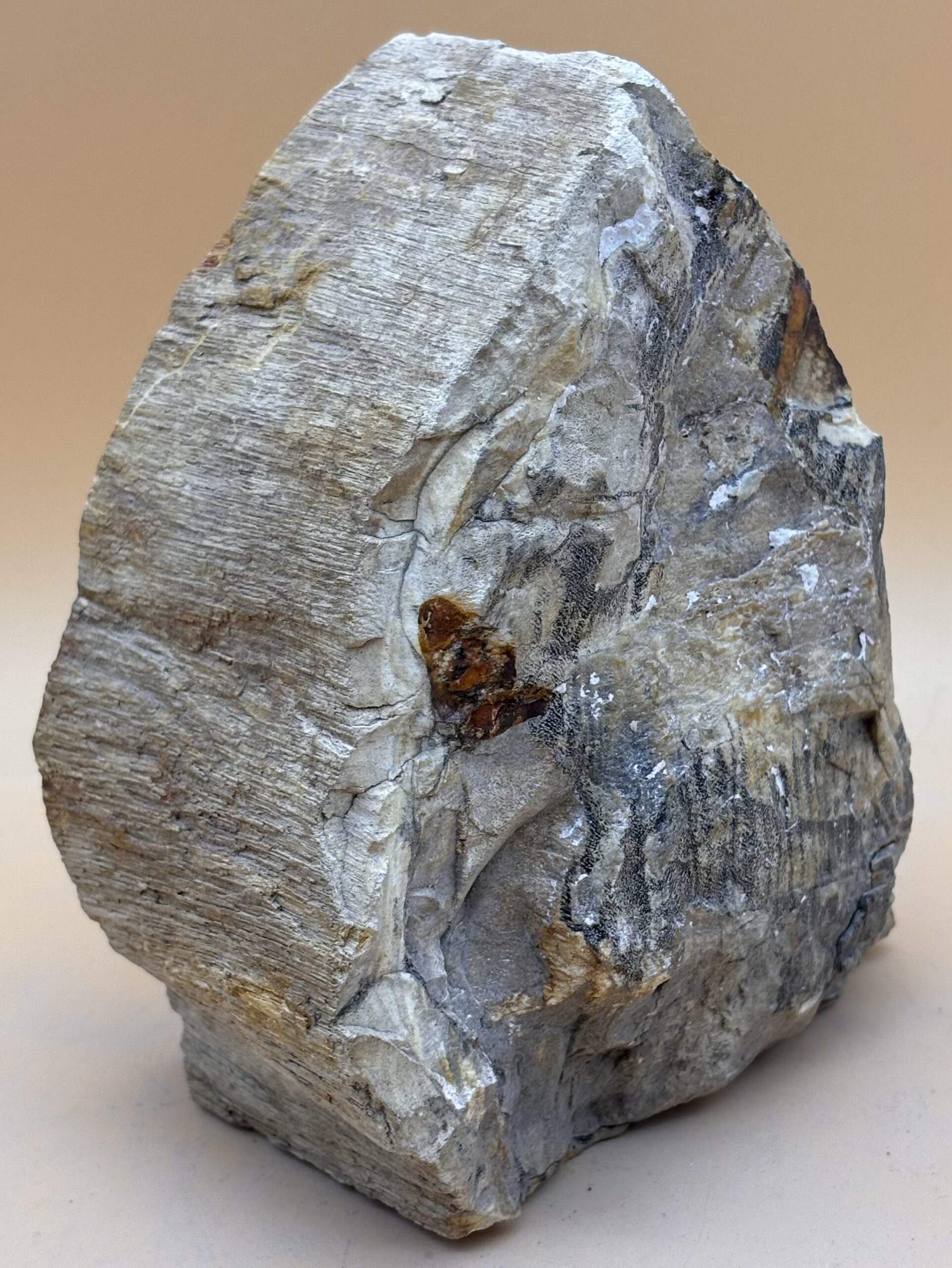 Opalisiertes Holz – Bild 2