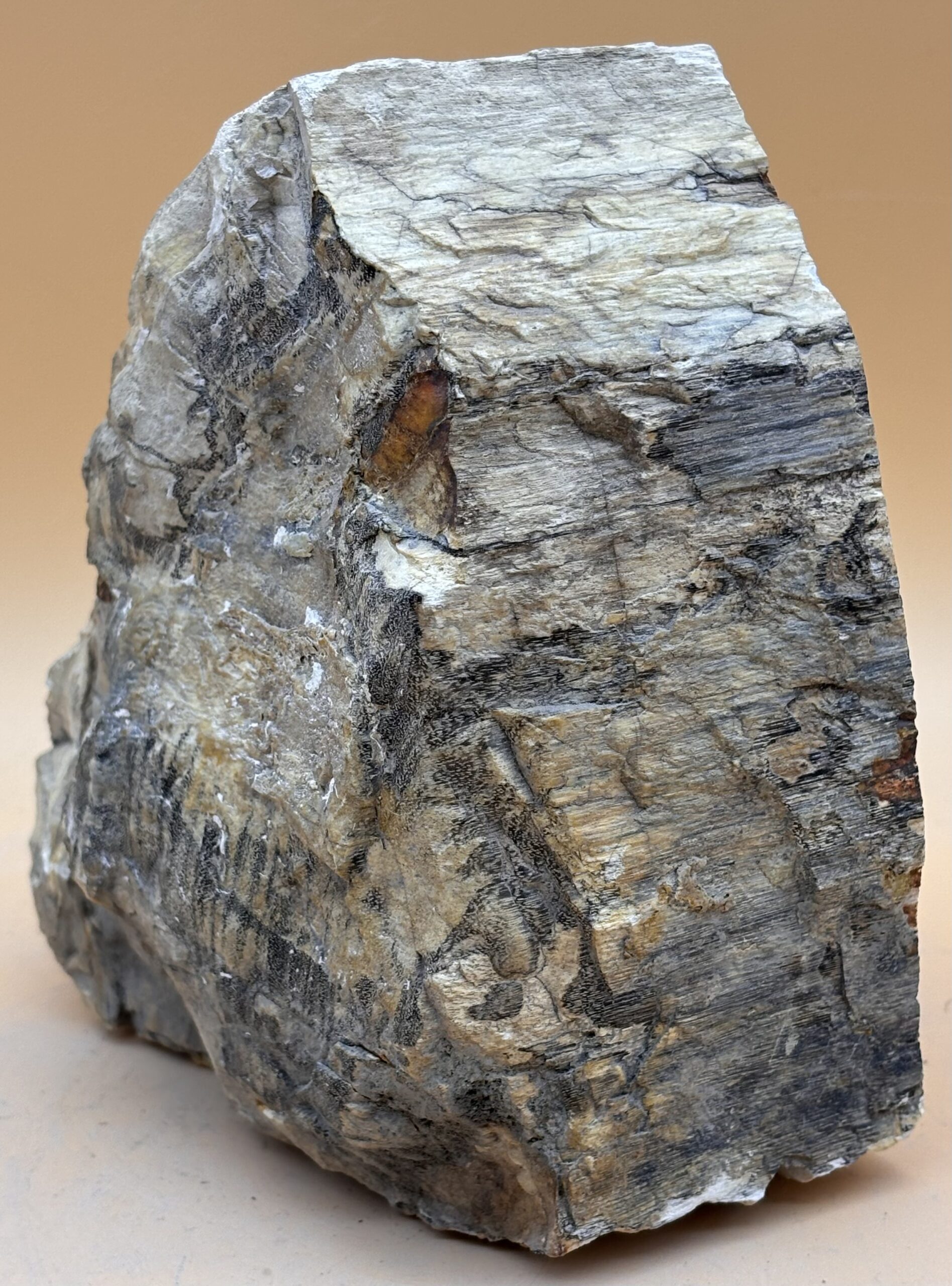 Opalisiertes Holz – Bild 3