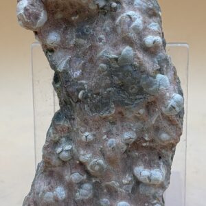 Australischer Rhyolith