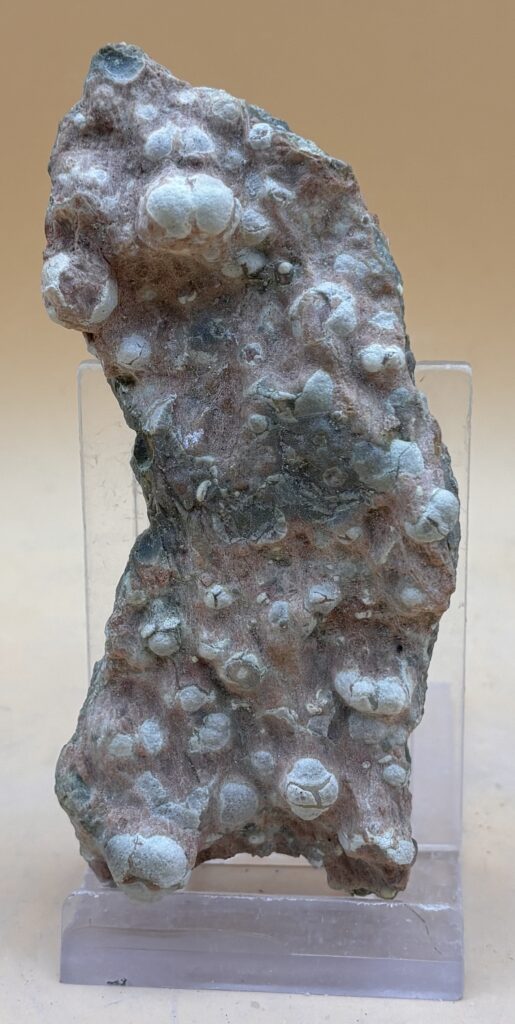 Australischer Rhyolith