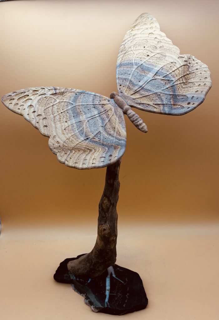 Schmetterling "Bruderfalter"