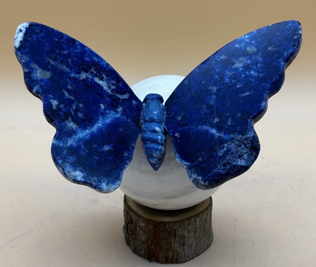 Schmetterling Lapislazuli auf Marmorkugel