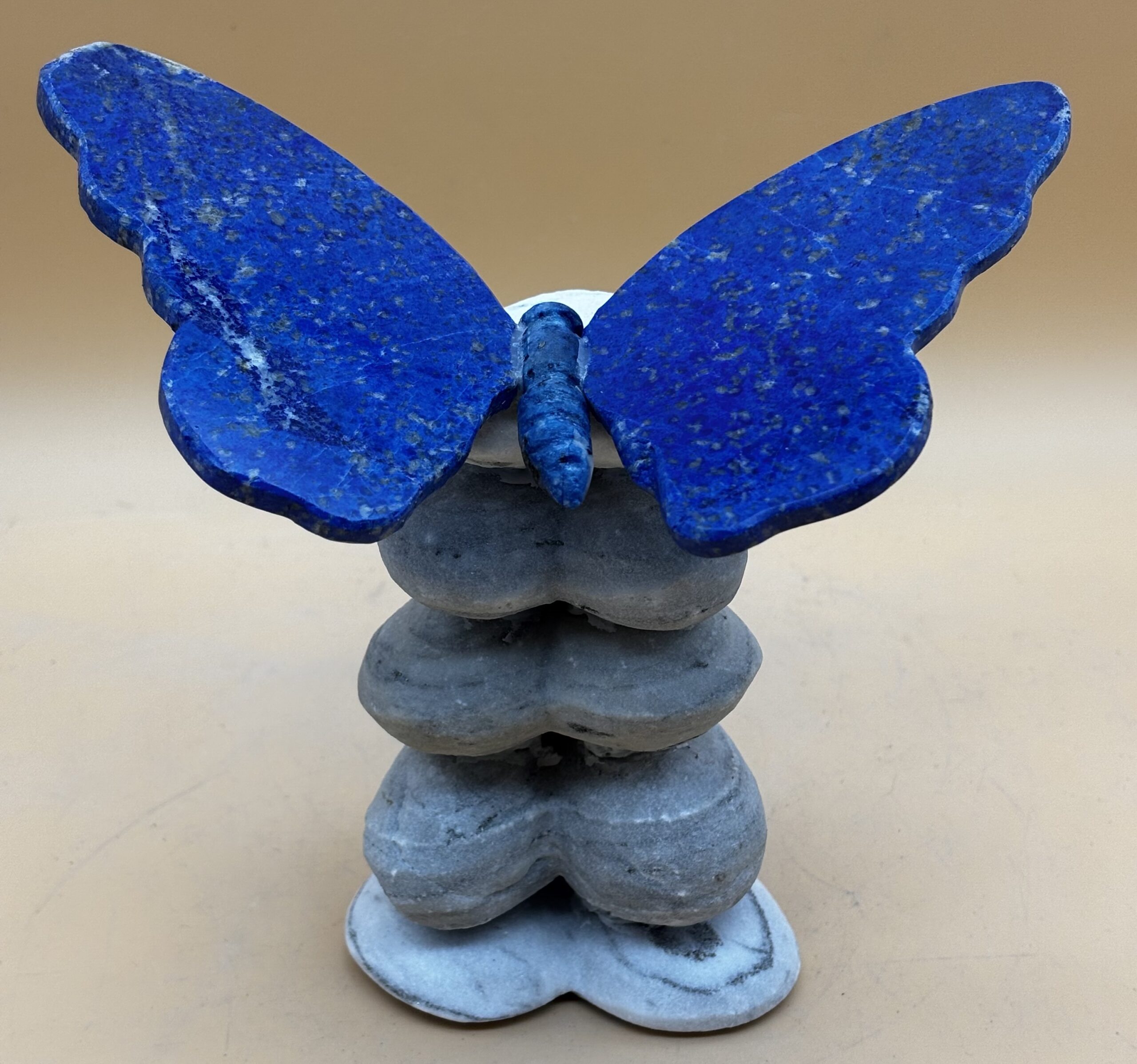 blauer Liebesfalter – Bild 2